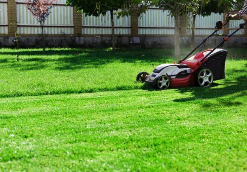 Warum gepflegte Flächen zum Immobilienwert beitragen