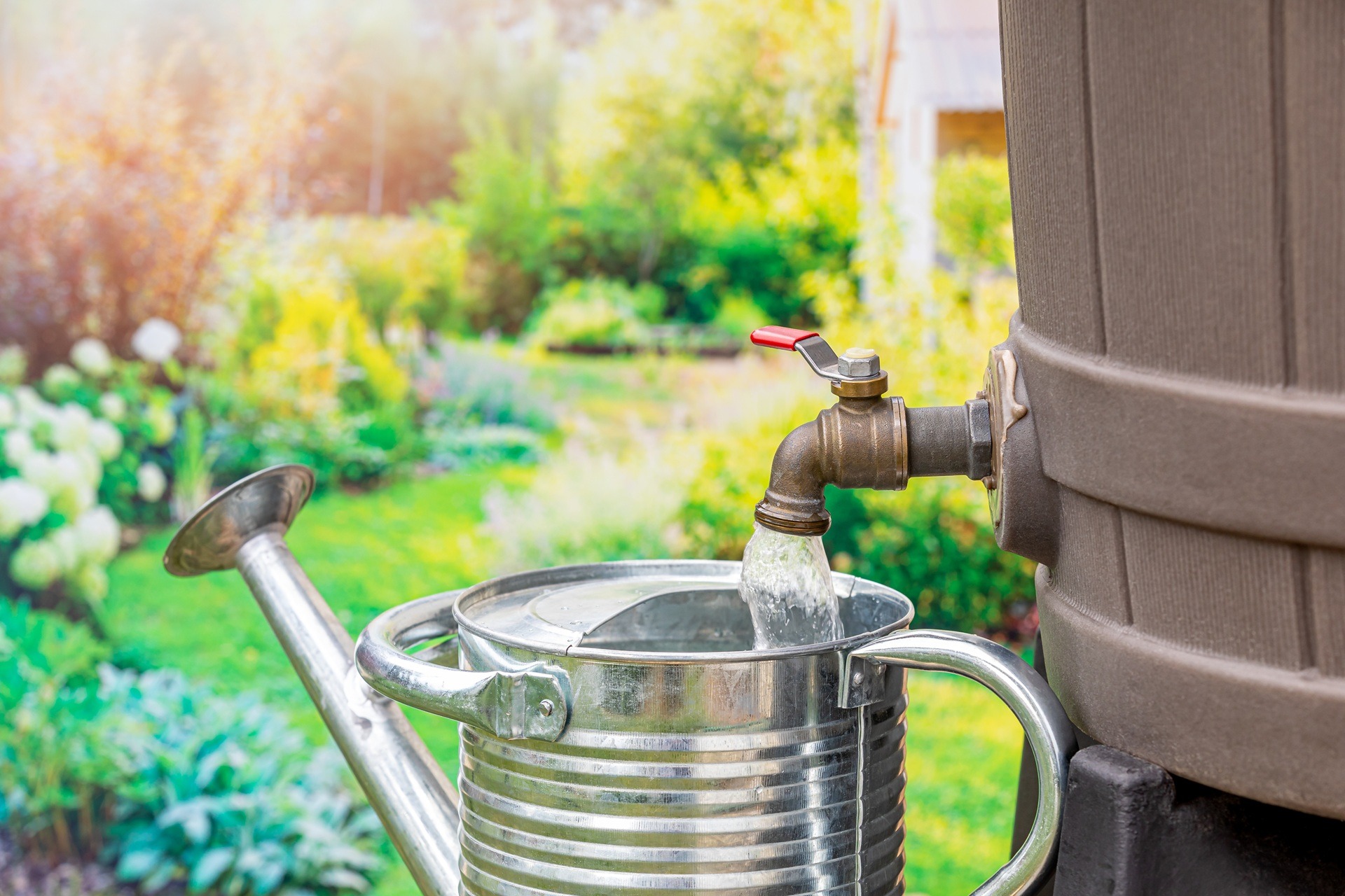 Regenwassertonne befüllt Gießkanne im Garten | Zisterne Regenwasser